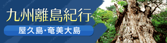 ���E��Y��B����