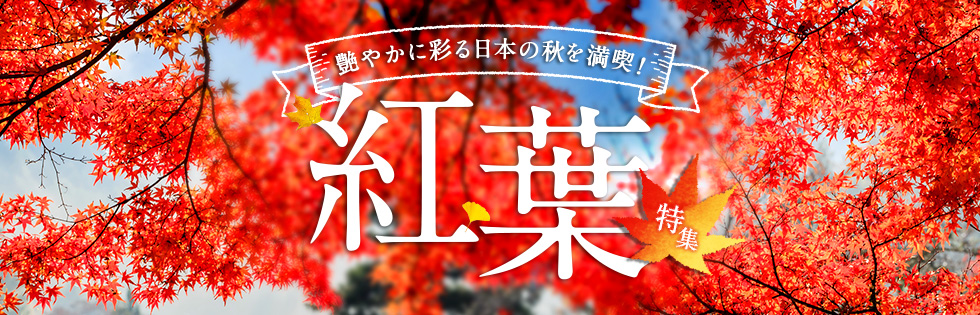 艶やかに彩る日本の秋を満喫! 紅葉特集