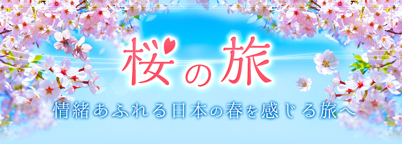桜の旅