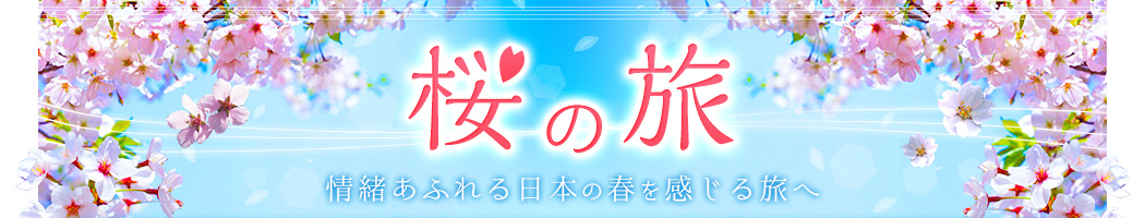 桜の旅