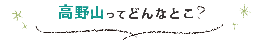 高野山ってどんなとこ?